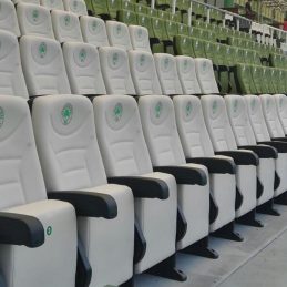 stadium Football Arena Custom